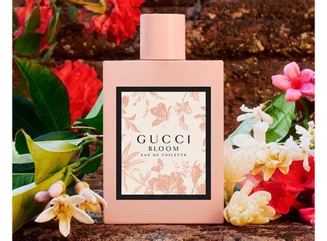 perfume gucci precio peru|gucci perfume online.